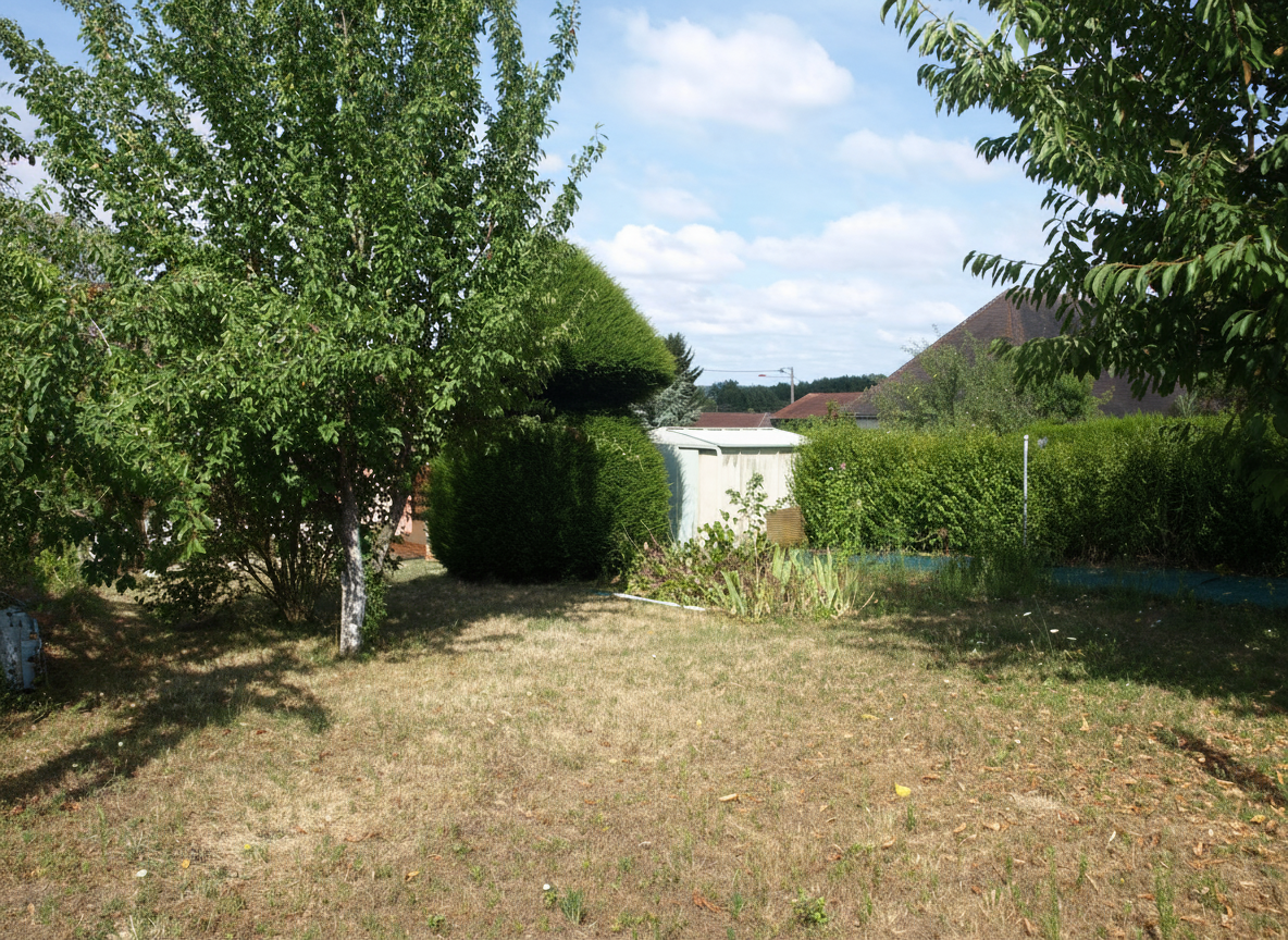 Jardin 2